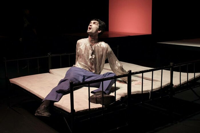 LA VIE EST UN SONGE - CIE LES TROIS-HUIT - 2015