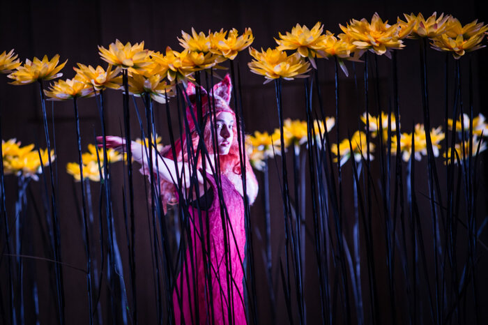 THE CUNNING LITTLE VIXEN - BERGEN NASJONALE OPERA - 2013